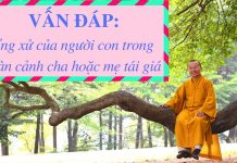 Vấn đáp: Ứng xử của người con trong hoàn cảnh cha (mẹ) tái giá – Thích Nhật Từ van dap ung xu cua nguoi con tro