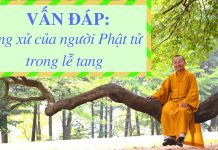 Vấn đáp: Ứng xử của người Phật tử trong lễ tang – Thích Nhật Từ van dap ung xu cua nguoi phat tu
