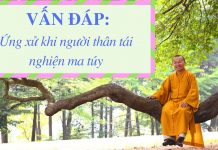Vấn đáp: Ứng xử khi người thân tái nghiện ma túy – Thích Nhật Từ van dap ung xu khi nguoi than ta