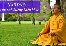 Vấn đáp: Ứng xử khôn ngoan – Thích Nhật Từ van dap ung xu khon ngoan thich