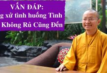 Vấn đáp: Ứng xử tình huống Tình cũ không rủ cũng đến – Thích Nhật Từ van dap ung xu tinh huong tinh c