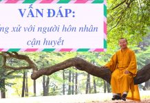 Vấn đáp: Ứng xử với người hôn nhân cận huyết – Thích Nhật Từ van dap ung xu voi nguoi hon nha