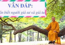 Vấn đáp: Ứng xử với người không chân tu – Thích Nhật Từ van dap ung xu voi nguoi khong c