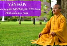 Vấn đáp: Vai trò của giáo hội Phật giáo Việt Nam, Phát triển đạo Phật – Thích Nhật Từ van dap vai tro cua giao hoi pha