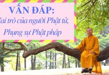 Vấn đáp: Vai trò của người Phật tử, hướng dẫn phụng sự Phật pháp – Thích Nhật Từ van dap vai tro cua nguoi phat t