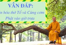 Vấn đáp: Văn hóa thờ Tổ, cúng cơm Phật vào giờ trưa – Thích Nhật Từ van dap van hoa tho to cung com