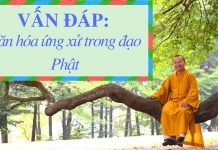 Vấn đáp: Văn hóa ứng xử trong đạo Phật – Thích Nhật Từ van dap van hoa ung xu trong dao