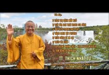 Vấn Đáp: Vãng Sanh Tây Phương – Hiểu Đúng Về Xá Lợi – Thích Nhật Từ van dap vang sanh tay phuong hie 1
