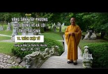 Vấn đáp: Vãng sanh tây phương, hiểu đúng về Xá Lợi – Thích Nhật Từ van dap vang sanh tay phuong hie