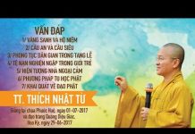 Vấn Đáp: Vãng Sanh Và Hộ Niệm, Cầu An Và Cầu Siêu – Thích Nhật Từ van dap vang sanh va ho niem cau
