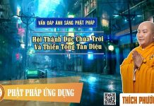 Vấn Đáp Về Hội Thánh Đức Chúa Trời Và Thiền Tông Tân Diệu – Thích Phước Tiến van dap ve hoi thanh duc chua tr