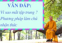 Vấn đáp: Vì sao mất tập trung, cách làm chủ nhận thức – Thích Nhật Từ van dap vi sao mat tap trung cac