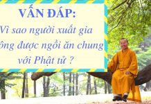 Vấn đáp: Vì sao người xuất gia không được ngồi ăn chung với Phật tử – Thích Nhật Từ van dap vi sao nguoi xuat gia kh