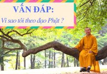 Vấn đáp: Vì sao tôi theo đạo Phật – Thích Nhật Từ van dap vi sao toi theo dao phat