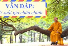 Vấn đáp: Vị xuất gia chân chính – Thích Nhật Từ van dap vi xuat gia chan chinh t