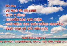 Vấn đáp: Vô ngã và tái sinh, quy y Tăng, Chuyển hóa cơn giận,khái niệm tam giáo đồng nguyên van dap vo nga va tai sinh quy y