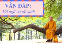 Vấn đáp: Vô ngã và tái sinh – Thích Nhật Từ van dap vo nga va tai sinh thich