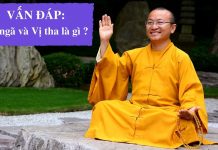 Vấn đáp: Vô ngã và Vị tha là gì – Thích Nhật Từ van dap vo nga va vi tha la gi t