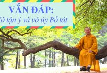 Vấn đáp: Vô tận ý và vô úy Bồ tát – Thích Nhật Từ van dap vo tan y va vo uy bo tat