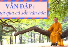 Vấn đáp: Vượt qua cú sốc văn hóa – Thích Nhật Từ van dap vuot qua cu soc van hoa