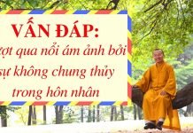 Vấn đáp: Vượt qua nổi ám ảnh bởi sự không chung thủy trong hôn nhân – Thích Nhật Từ van dap vuot qua noi am anh boi