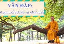 Vấn đáp: Vượt qua nổi sợ hãi – Thích Nhật Từ van dap vuot qua noi so hai thic
