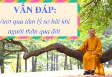Vấn đáp: Vượt qua tâm lý sợ hãi khi người thân qua đời – Thích Nhật Từ van dap vuot qua tam ly so hai k