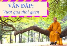 Vấn đáp: Vượt qua thói quen – Thích Nhật Từ van dap vuot qua thoi quen thich
