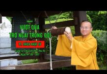 Vấn đáp: Vượt qua trở ngại trong đời – Thích Nhật Từ van dap vuot qua tro ngai trong