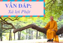 Vấn đáp: Xá lợi Phật – Thích Nhật Từ van dap xa loi phat thich nhat t 1