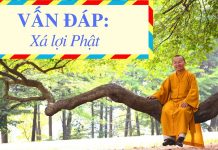 Vấn đáp: Xá lợi Phật – Thích Nhật Từ van dap xa loi phat thich nhat t 2