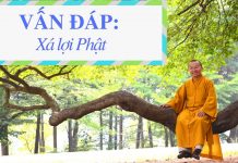Vấn đáp: Xá lợi Phật – Thích Nhật Từ van dap xa loi phat thich nhat t