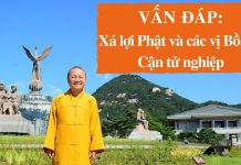 Vấn đáp: Xá lợi Phật và các vị Bồ tát, Cận tử nghiệp – Thích Nhật Từ van dap xa loi phat va cac vi bo