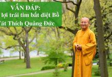 Vấn đáp: Xá lợi trái tim bất diệt Bồ Tát Thích Quảng Đức – Thích Nhật Từ van dap xa loi trai tim bat diet
