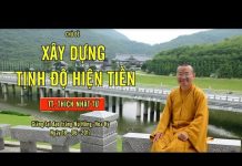 Vấn đáp: Xây Dựng Tịnh Độ Hiện Tiền – Thích Nhật Từ van dap xay dung tinh do hien ti