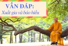 Vấn đáp: Xuất gia và báo hiếu – Thích Nhật Từ van dap xuat gia va bao hieu thi 1