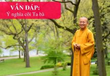 Vấn đáp: Ý nghĩa cõi Ta bà – Thích Nhật Từ van dap y nghia coi ta ba thich
