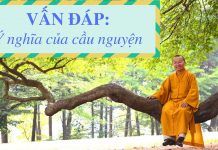 Vấn đáp: Ý nghĩa của cầu nguyện – Thích Nhật Từ van dap y nghia cua cau nguyen t