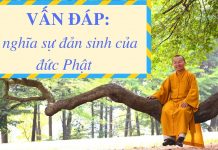 Vấn đáp: Ý nghĩa đản sinh của đức Phật – Thích Nhật Từ van dap y nghia dan sinh cua duc