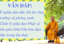 Vấn đáp: Ý nghĩa đạo đức khi ăn chay trường và phóng sanh, chân lý giữa đạo Phật và tôn giáo khác van dap y nghia dao duc khi an c