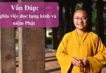 Vấn đáp: Ý nghĩa đọc – tụng kinh, niệm Phật – Thích Nhật Từ van dap y nghia doc tung kinh ni