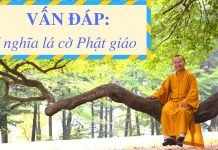 Vấn đáp: Ý nghĩa lá cờ Phật giáo – Thích Nhật Từ van dap y nghia la co phat giao