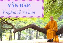 Vấn đáp: Ý nghĩa lễ Vu Lan – Thích Nhật Từ van dap y nghia le vu lan thich