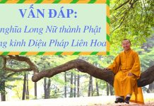 Vấn đáp: Ý nghĩa Long Nữ thành Phật trong kinh Diệu Pháp Liên Hoa – Thích Nhật Từ van dap y nghia long nu thanh ph