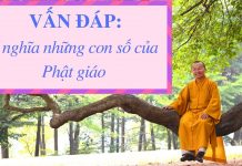 Vấn đáp: Ý nghĩa những con số của Phật giáo – Thích Nhật Từ van dap y nghia nhung con so cua