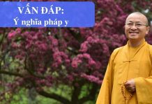 Vấn đáp: Ý nghĩa pháp y – Thích Nhật Từ van dap y nghia phap y thich nha