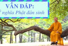 Vấn đáp: Ý nghĩa Phật đản sinh – Thích Nhật Từ van dap y nghia phat dan sinh th