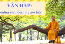 Vấn đáp: Ý nghĩa Quy y Tam Bảo – Thích Nhật Từ van dap y nghia quy y tam bao th