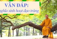 Vấn đáp: Ý nghĩa sinh hoạt đạo tràng – Thích Nhật Từ van dap y nghia sinh hoat dao tr