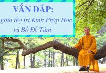 Vấn đáp: Ý nghĩa thọ trì Kinh Pháp Hoa, Bồ Đề Tâm – Thích Nhật Từ van dap y nghia tho tri kinh pha